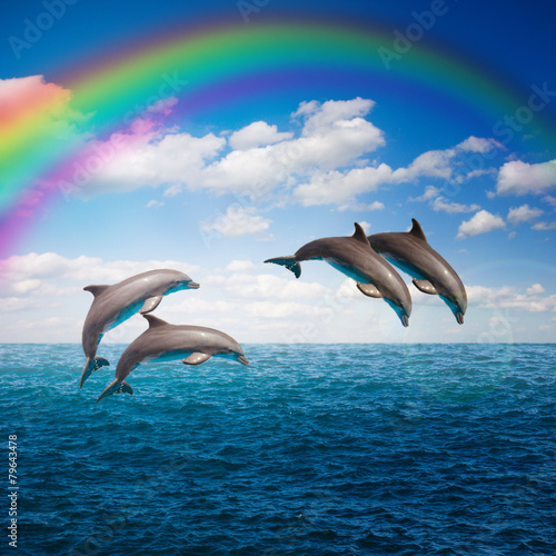 Fototapeta pack of jumping dolphins