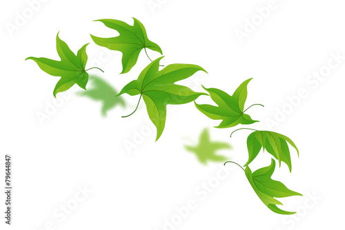 Green leaves falling and spinning on white, vector illustration