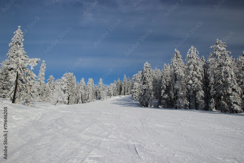 Obraz premium Piste de ski à Autrans