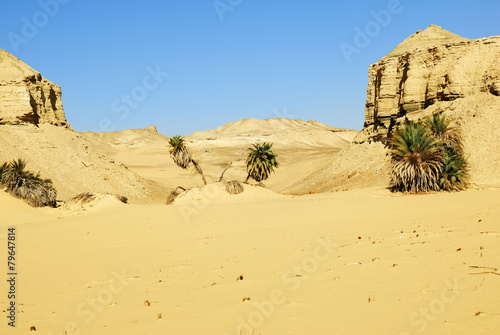 Sahara deser