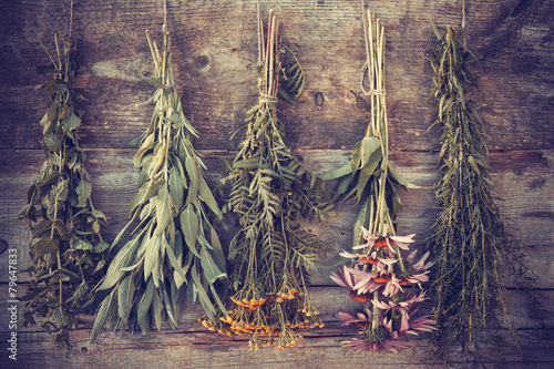 Vintage stylized photo of bunches of healing herbs on wooden wal