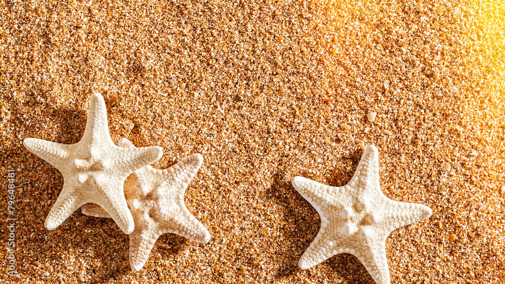 Summer trip still life over sand. Shellfish and starfish Summer trip still life over sand. Shellfish and starfish
