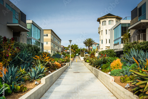 Gardens and buildings along a walkway in Venice Beach, Los Angel