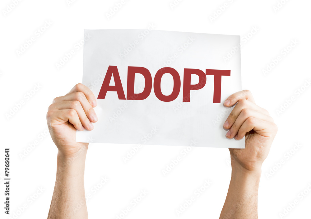Adopt card isolated on white background Adopt card isolated on white background