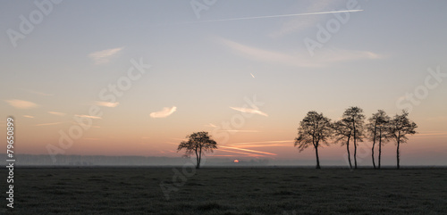 Zonsopkomst met bomen, panorama.