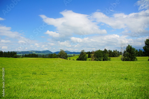 grüne Landschaft bei Pfronten © beatuerk
