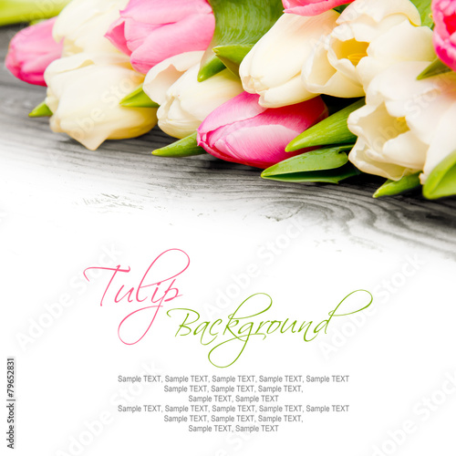 Fototapeta Naklejka Na Ścianę i Meble -  Tulip blooms