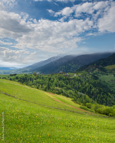 Mountain landscape with green meadow and pine forest away