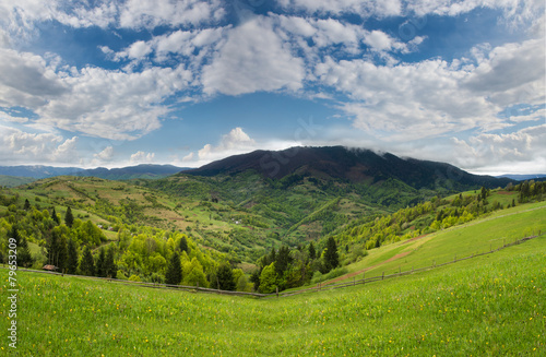 Mountain landscape with green meadow and pine forest away