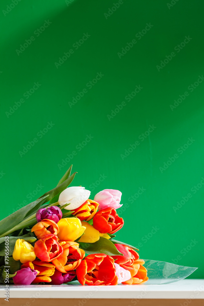 Fototapeta premium colorful tulips