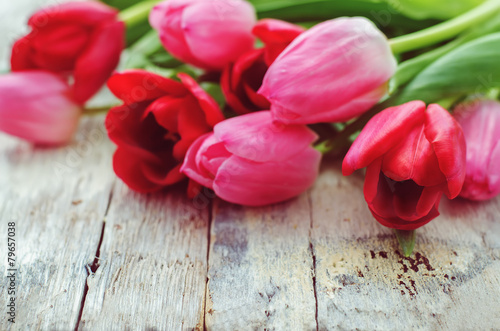red and pink tulips