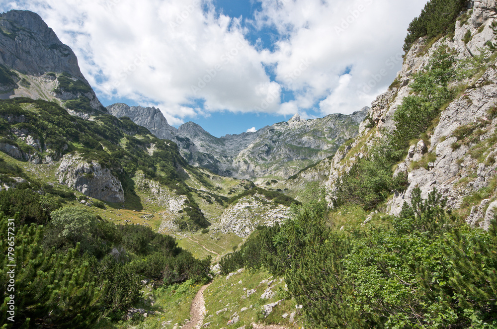 Valley Durmitor National Park, Montenegro