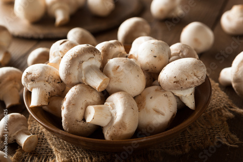Raw Organic White Mushrooms