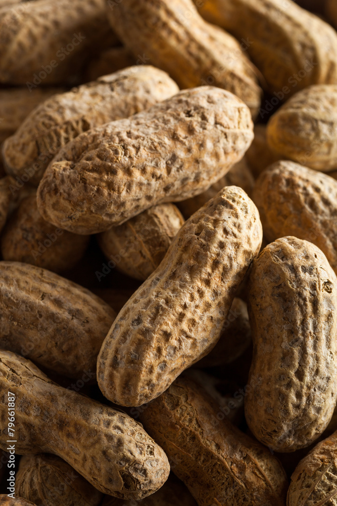Salted Roasted Shelled Peanuts Salted Roasted Shelled Peanuts