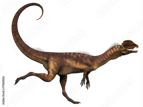 Dilophosaurus Profile © Catmando