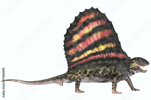 Dimetrodon Permian Reptile photo