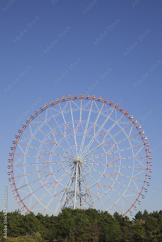 Fototapeta premium 観覧車 東京