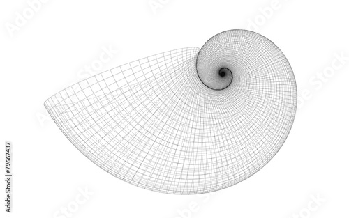 golden spiral shell grid