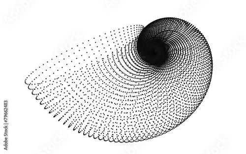 golden spiral shell grid