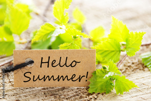 Label With Hello Summer And Green Branches