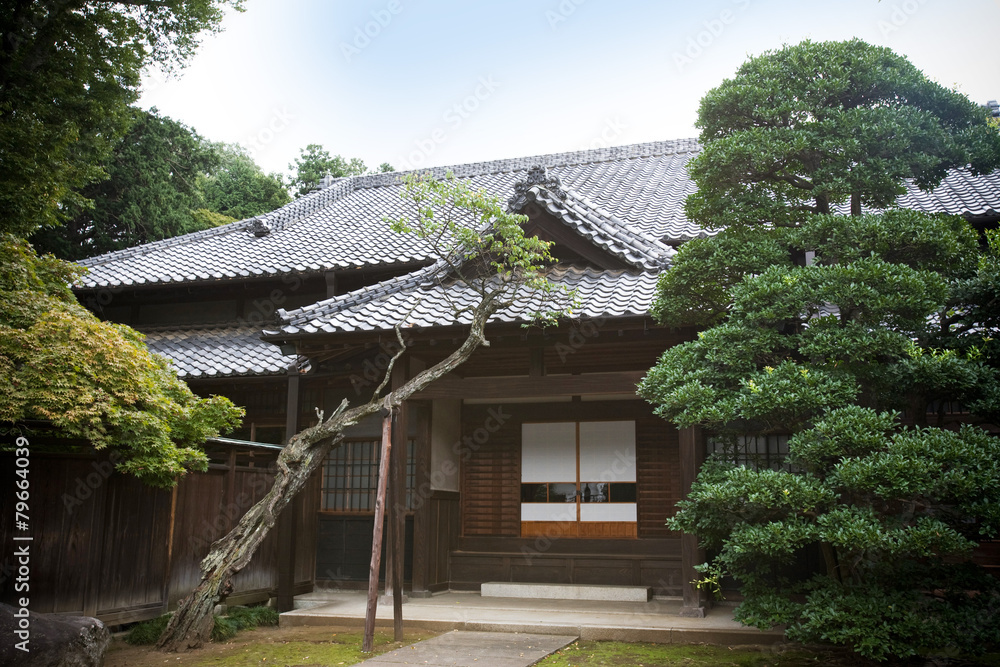 Obraz premium 日本家屋と松 Japanese house