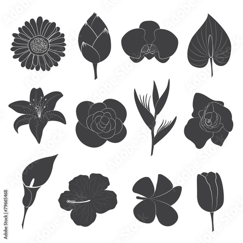 Fototapeta Naklejka Na Ścianę i Meble -  Flower Icons Set