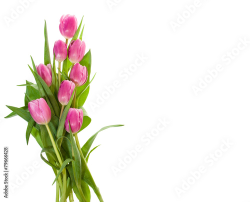 Fototapeta Naklejka Na Ścianę i Meble -  Bouquet of pink tulips isolated on white
