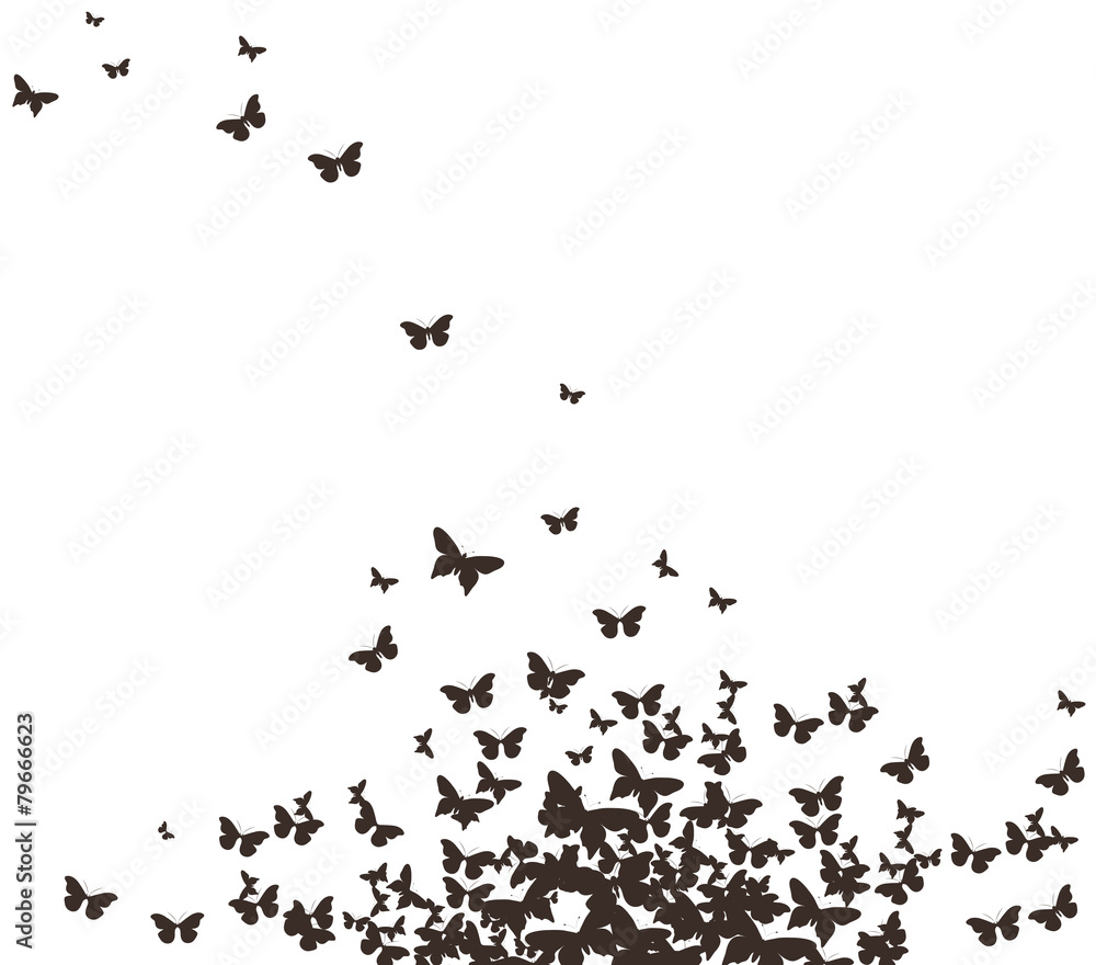 butterflies black design