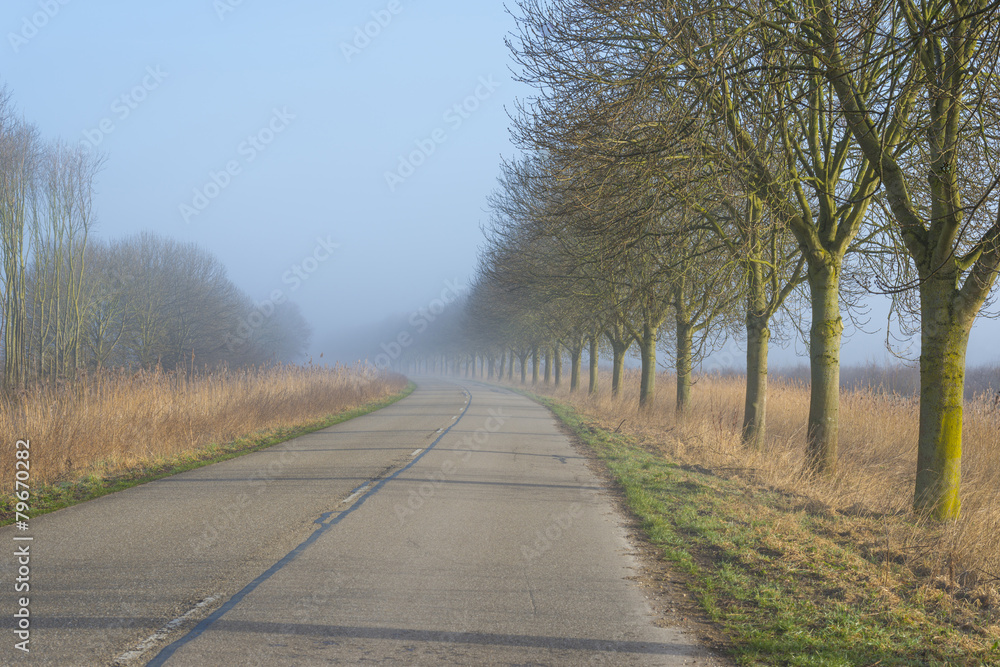 Fototapeta premium Road through the countryside in winter