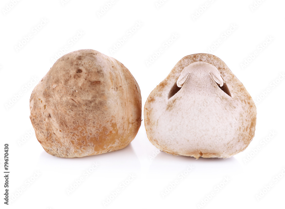 straw mushroom isolated on white background straw mushroom isolated on white background