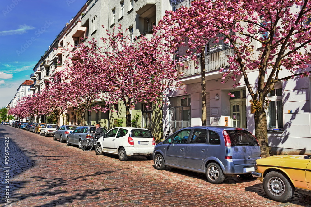 Straße mit Kirschblüte
