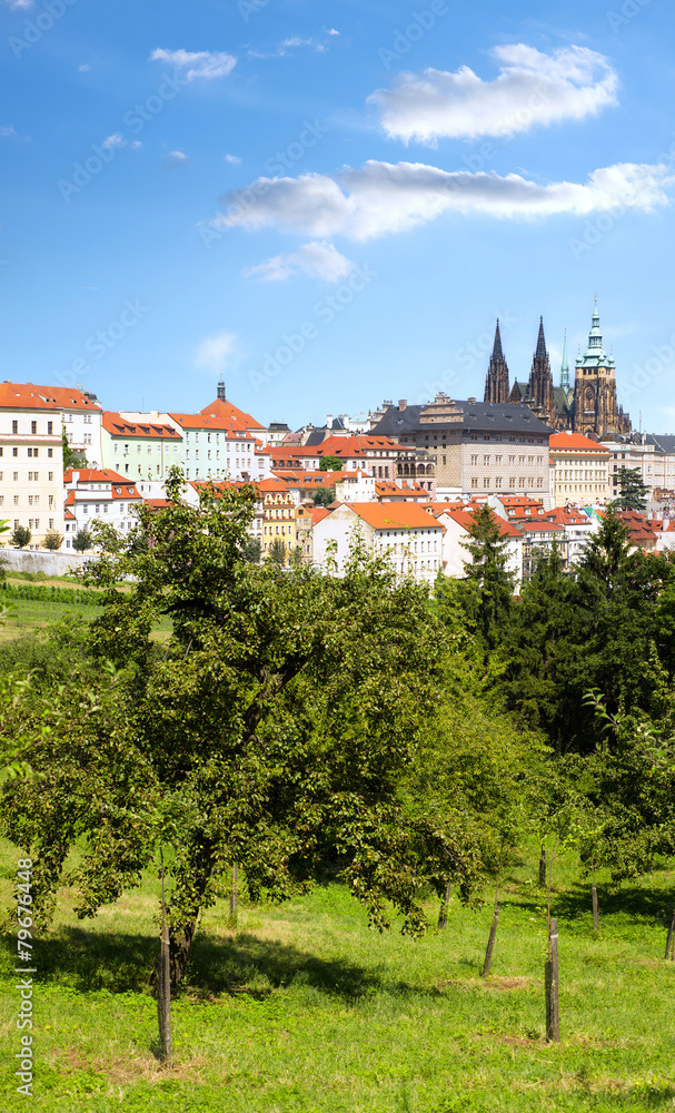 Red roofs and gardens of Prague in summer Red roofs and gardens of Prague in summer