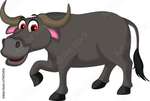 cute buffalo cartoon posing for you design