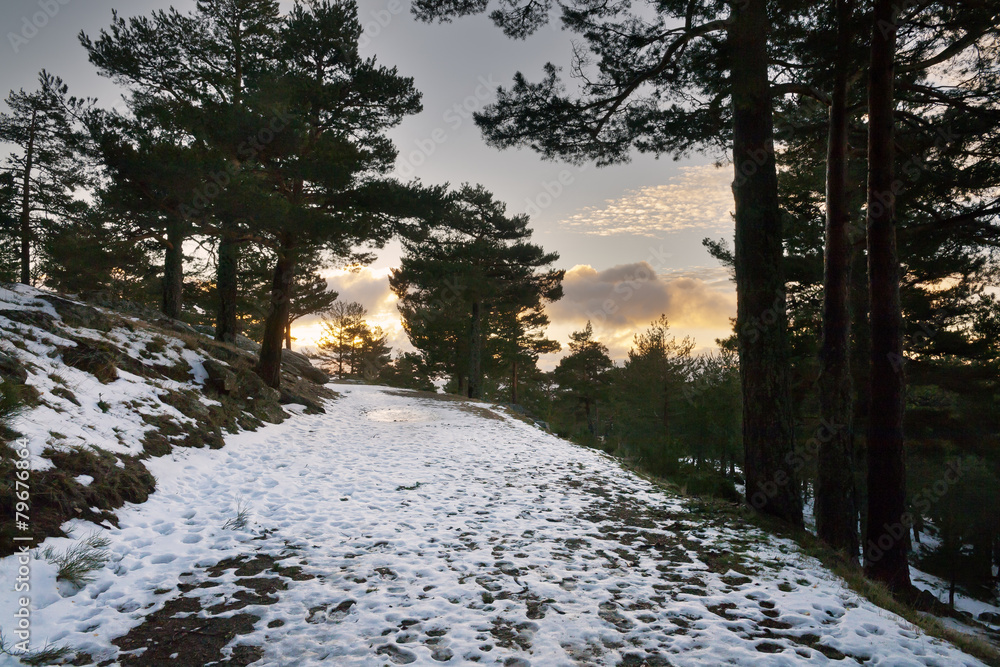 Camino de la Horizontal. Sierra de Guadarrama. Madrid Camino de la Horizontal. Sierra de Guadarrama. Madrid