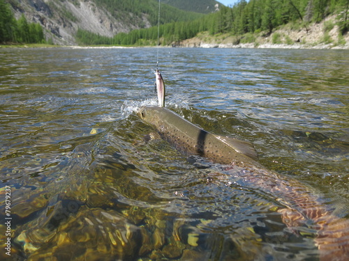 Fishing photo