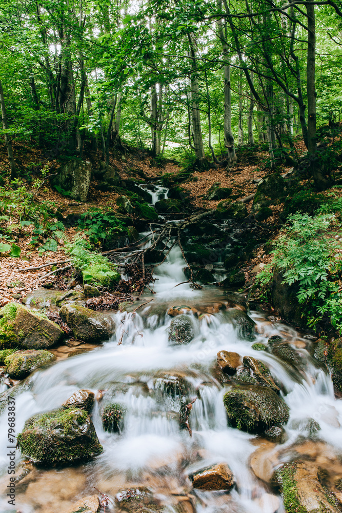 Fototapeta premium The mountain waterfall