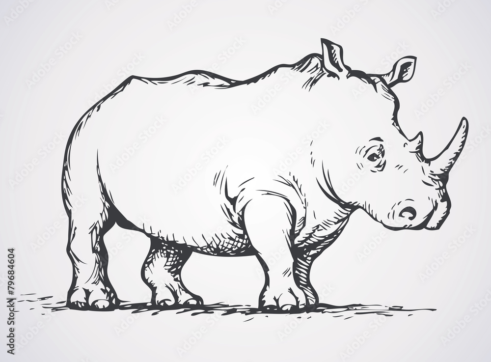Obraz premium Rhinoceros. Vector drawing