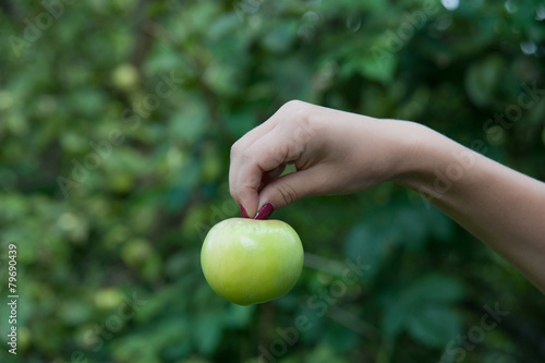 Green Apple in Hand