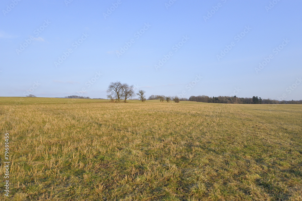 field field