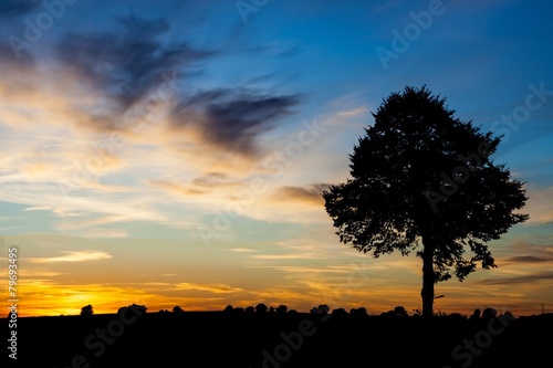 Sunset over rural field