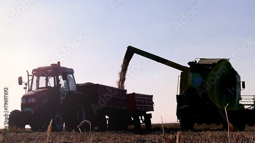 Combine-harvester unloading soybeans in tractor trailer