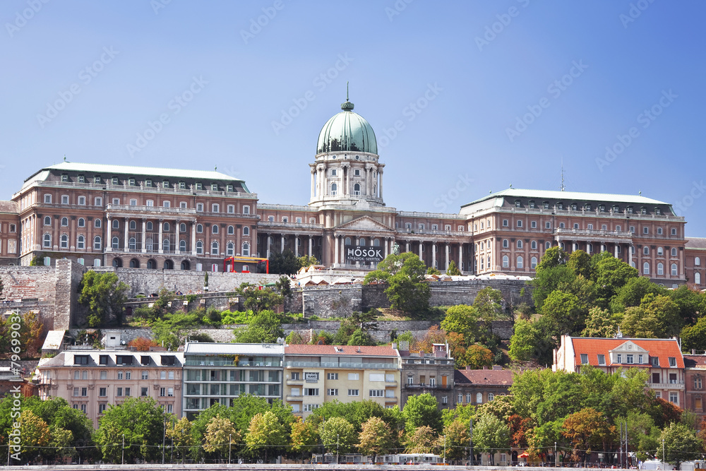 Obraz premium Panorama of Budapest with the Royal Palace