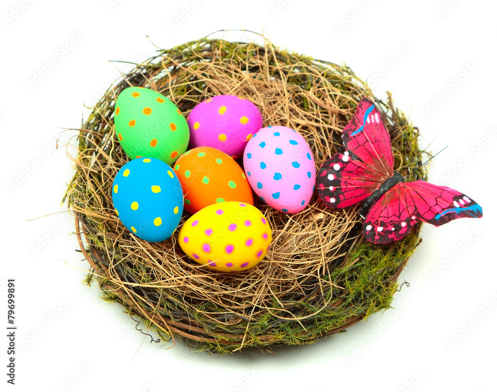 Obraz premium Easter eggs in nest