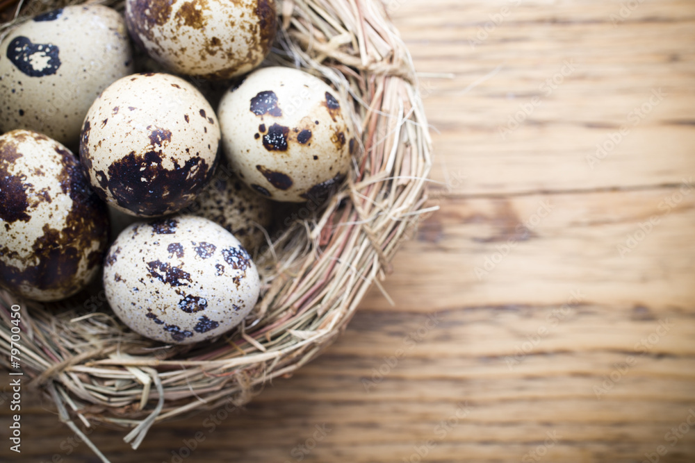 Obraz premium Quail eggs. Easter greeting card.