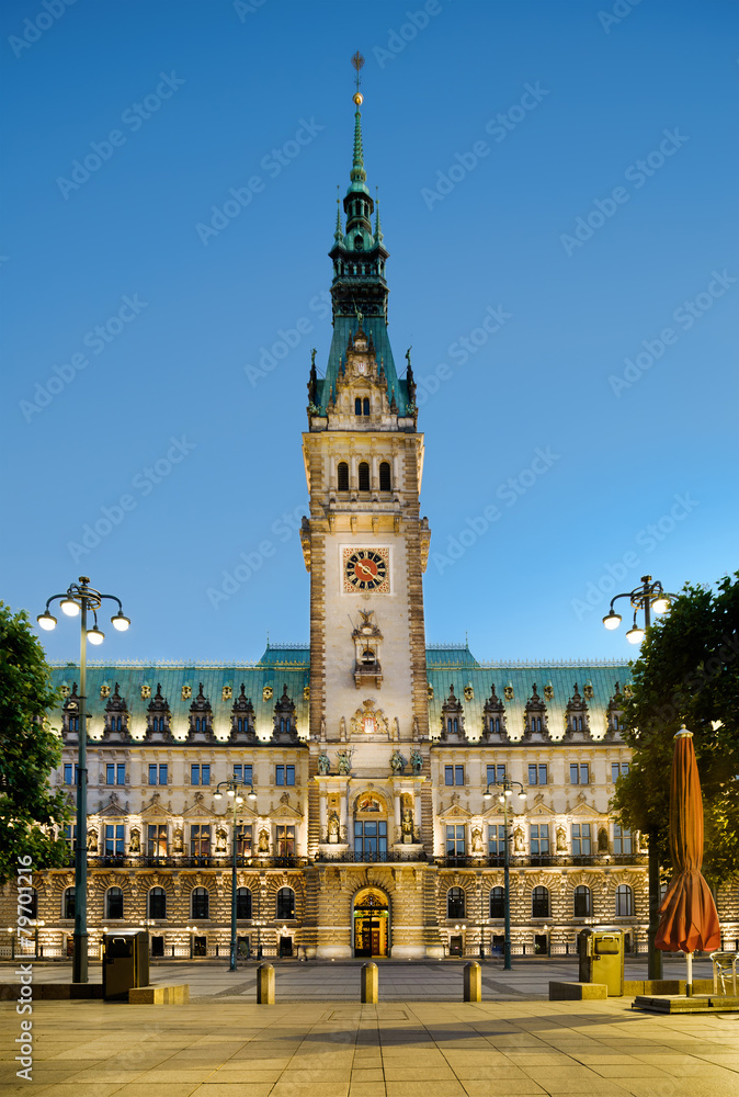 Fototapeta premium Town Hall in Hamburg, Germany