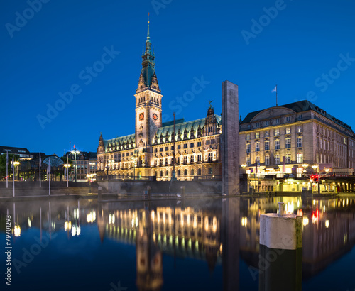 Hamburg Town Hall at night