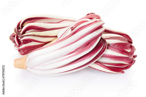 Radicchio, red Treviso salad group on white, clipping path