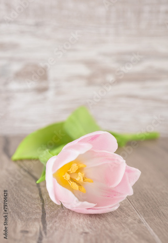 Single tulip on a wooden table