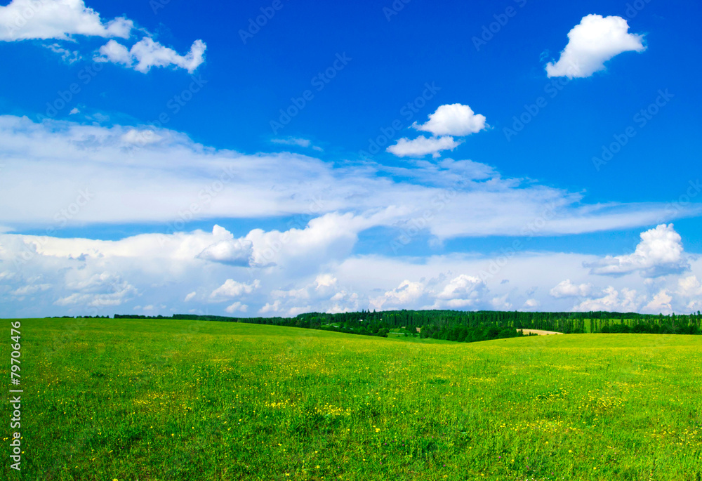 field field