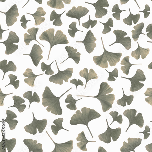 Tinted gingko leaves on white background